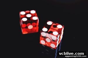 AG真人 vcblive